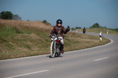 IJO_8056
