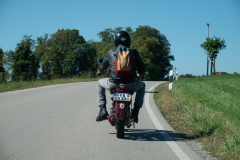 IJO_8371
