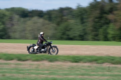 310_IJO_4223